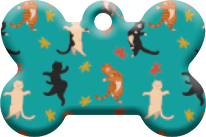 Gatos_65